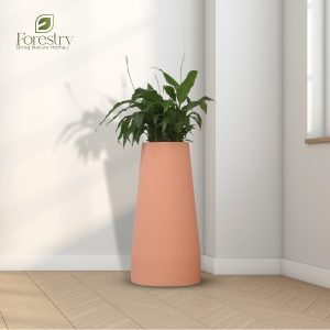 Coral Blush