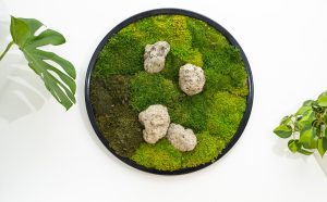 Moss Wall 1