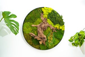 Moss Wall 3