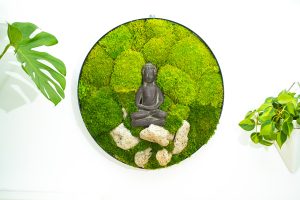 Moss Wall 5