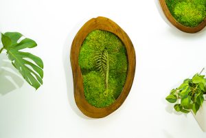Moss Wall 10