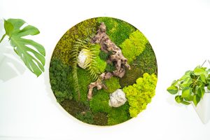 Moss Wall 4