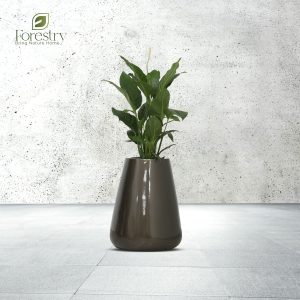 Black Glaze